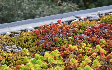 the cost of Auchendinny green roof installation