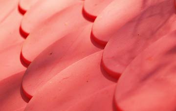 Auchendinny plastic roof costs