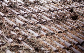 Auchendinny roof cleaning companies