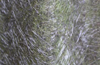 Auchendinny fibreglass roof work